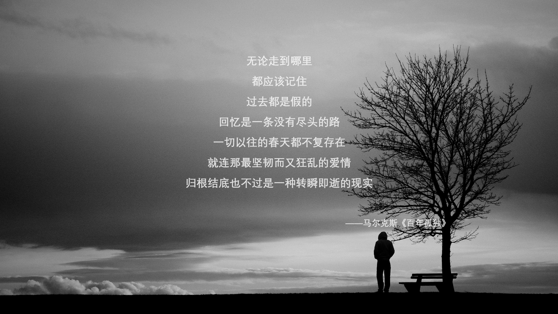 _世界拳击锦标赛：重量级对决激烈上演_，世界拳击经典赛