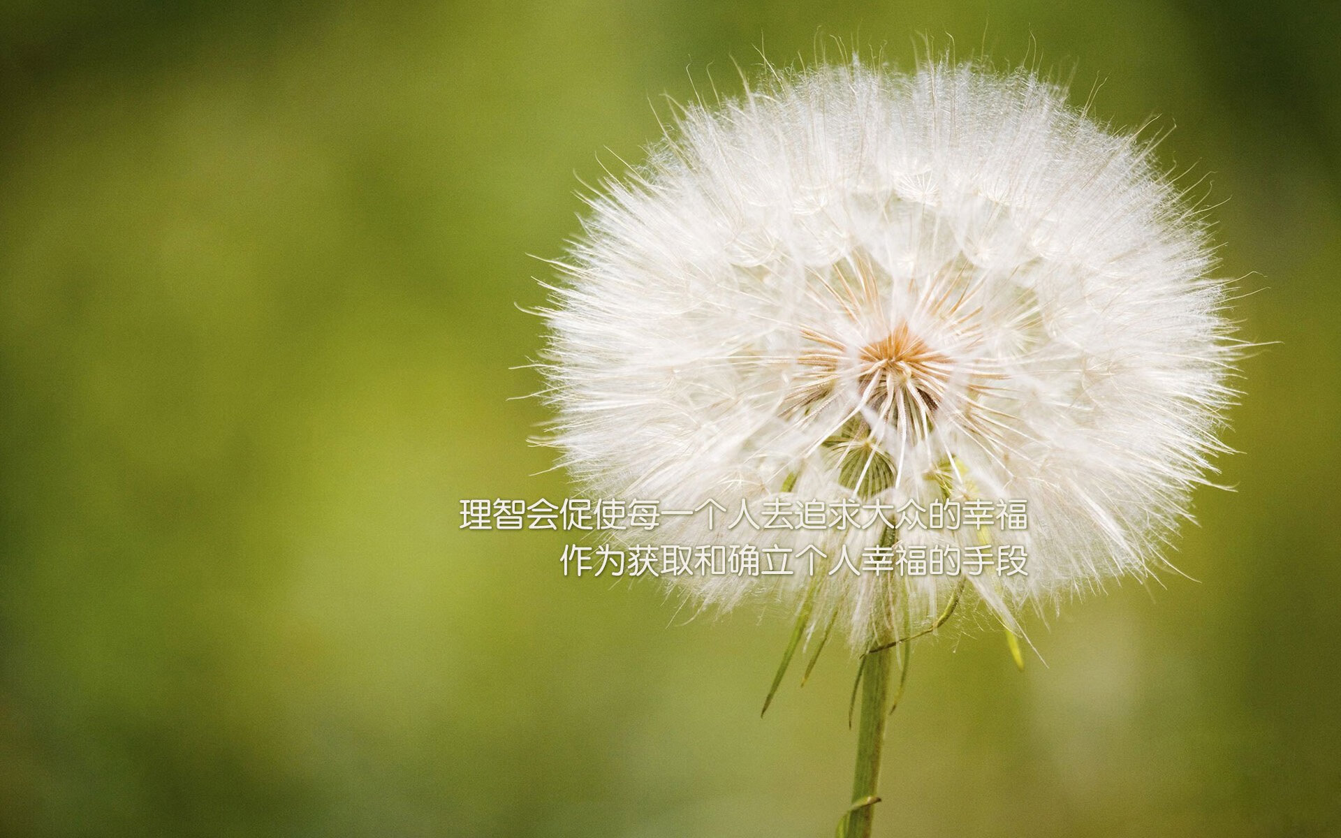 _冬奥会火炬传递感人瞬间：点亮希望之火_，冬奥会 火炬传递