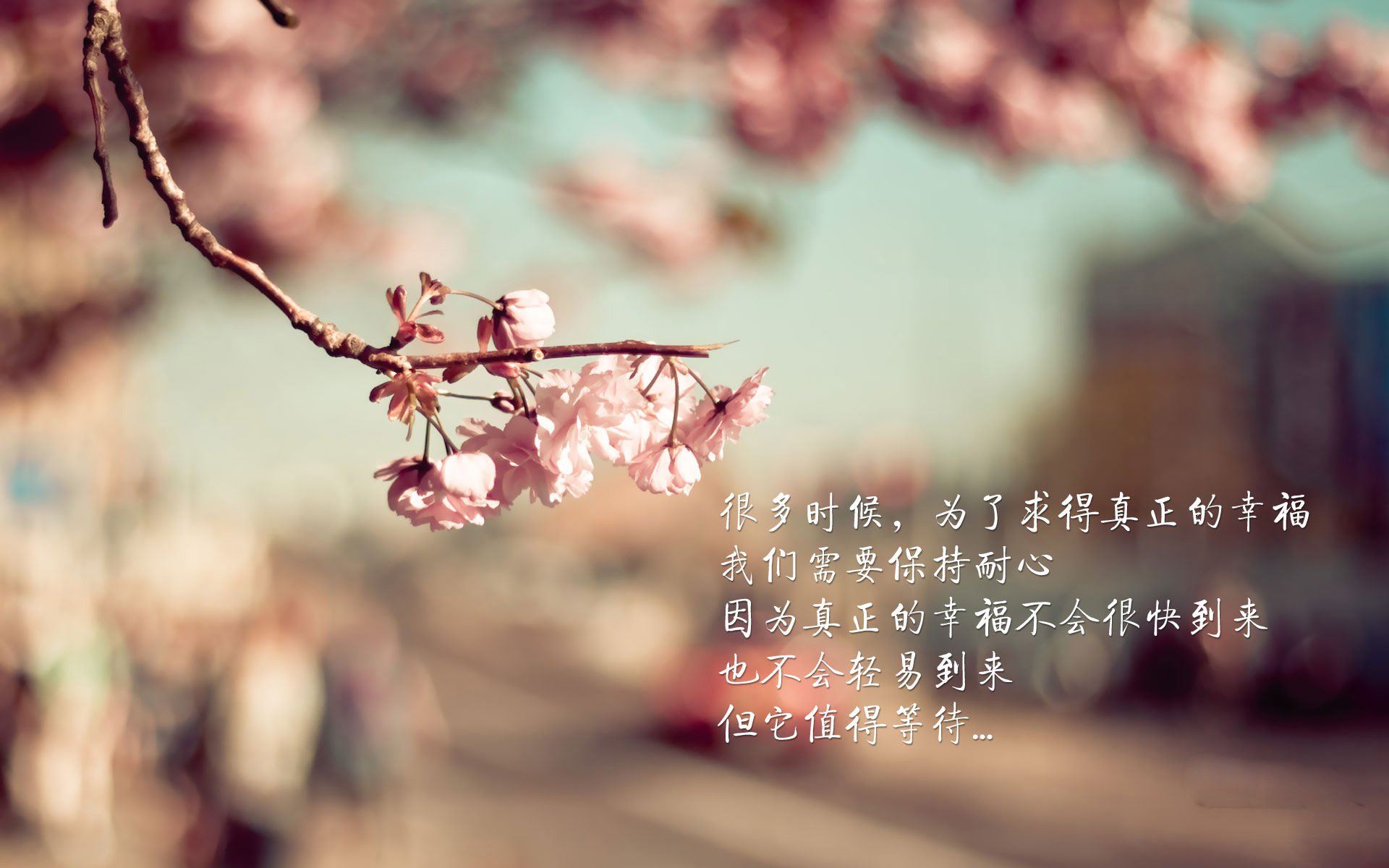 意大利赢得欧洲杯冠军，国内球迷欢欣鼓舞，意大利赢得欧洲杯奖金
