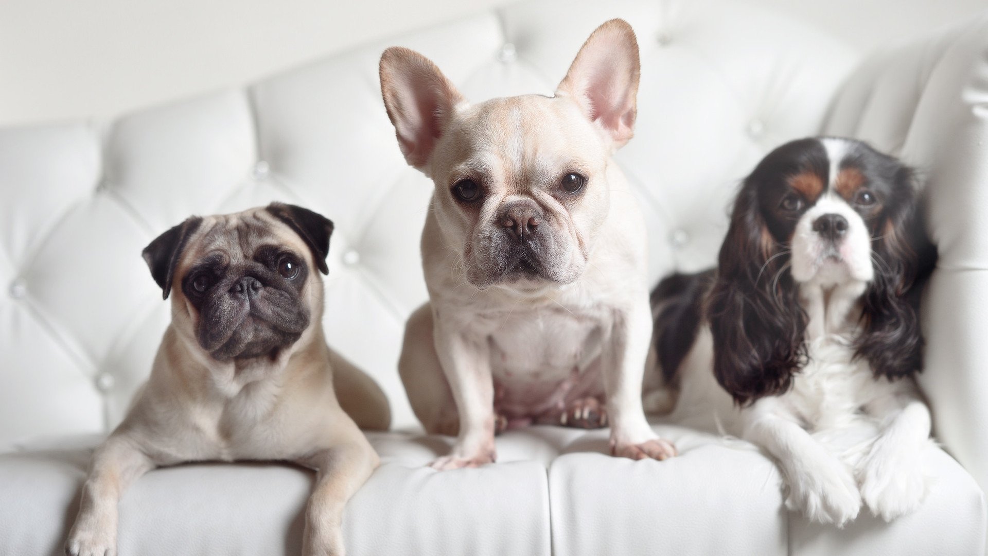 AYX体育-马赛主帅谈球队表现，马赛历任主帅