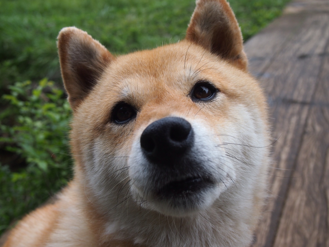 马洛卡主场失利，球队积分榜排名下滑，atp马洛卡