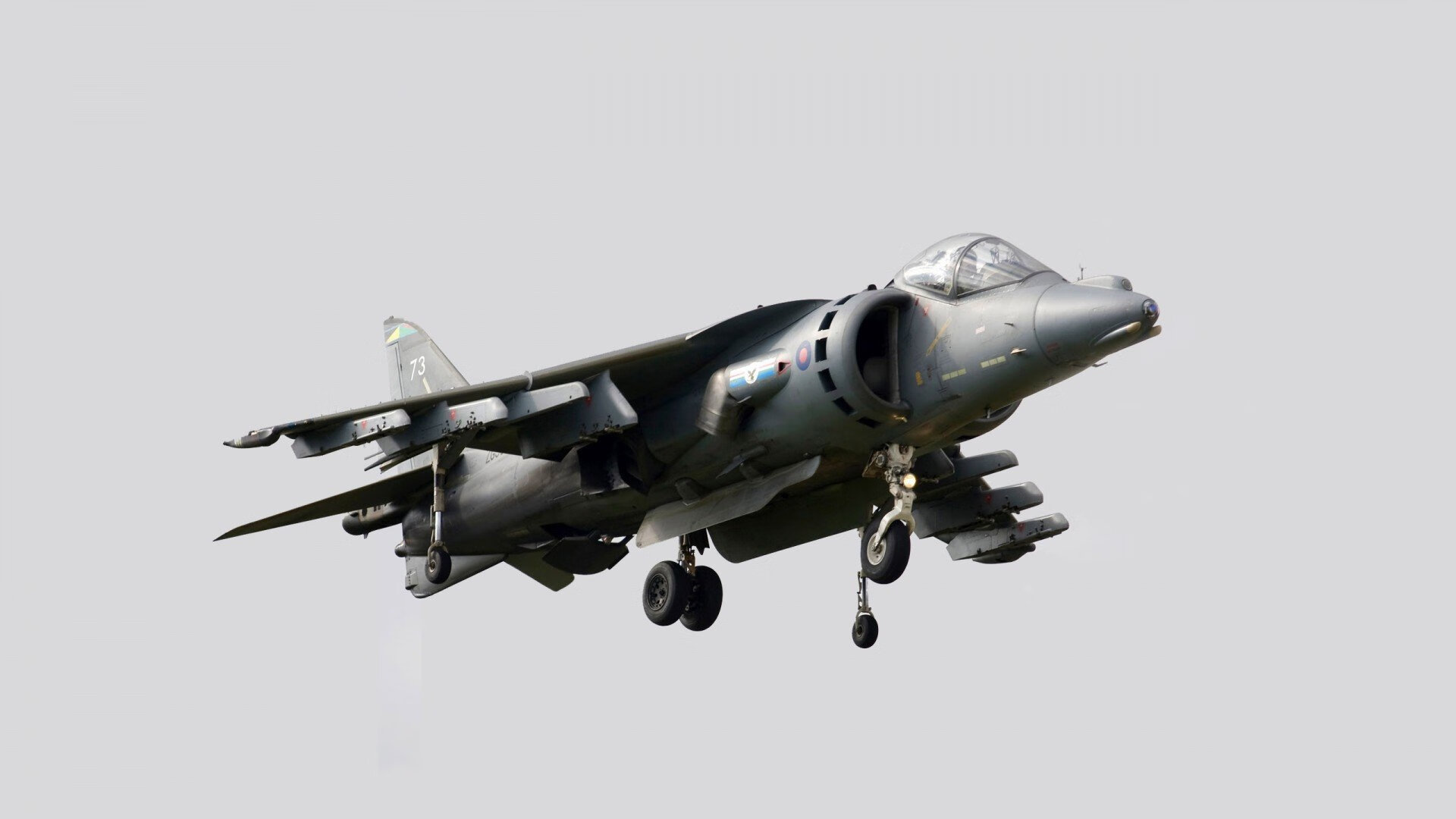 世界举重青年锦标赛中国队实力尽显，世界举重锦标赛2020在哪里举行