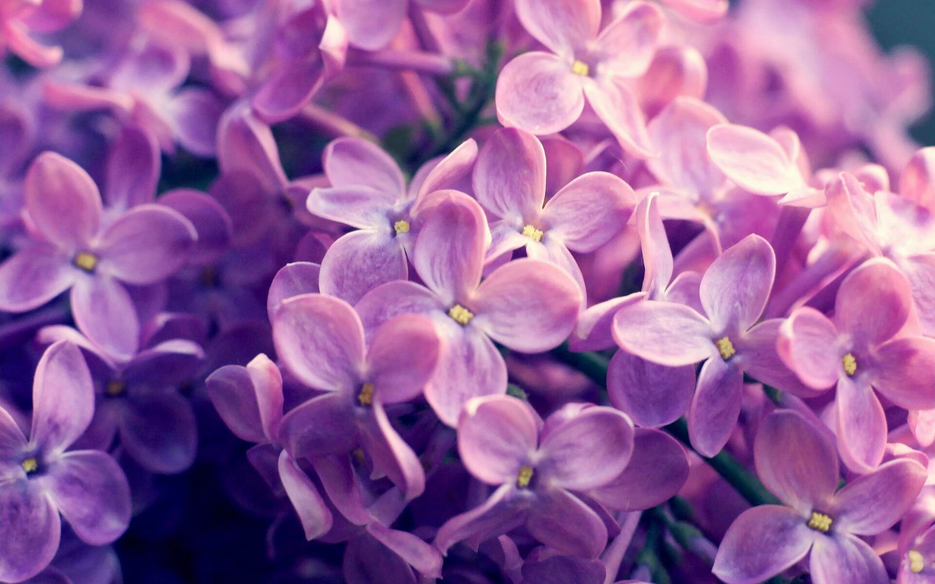 运动装备设计创新研究，运动产品创新设计