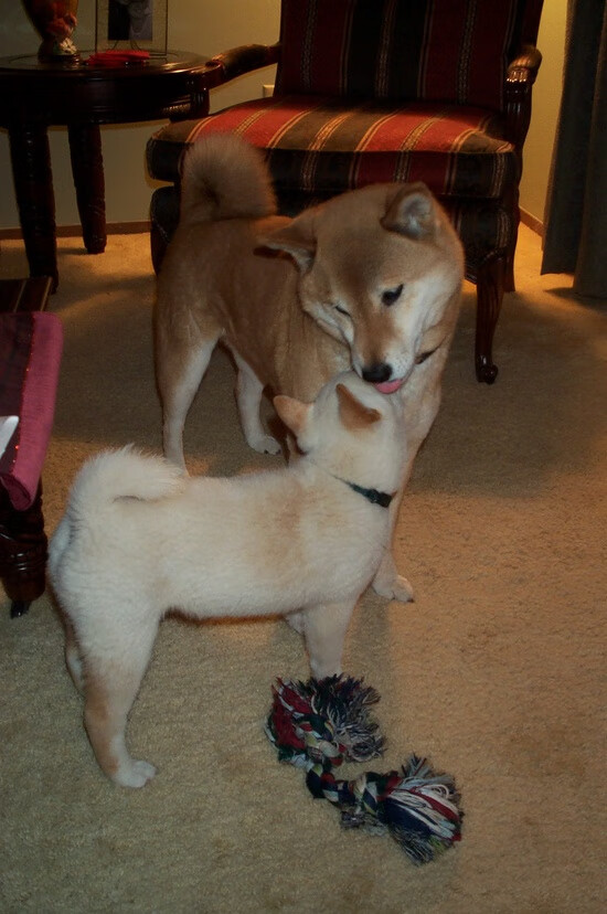 爱游戏电竞-青少年体育赛事成绩公示，青少年体育赛事网