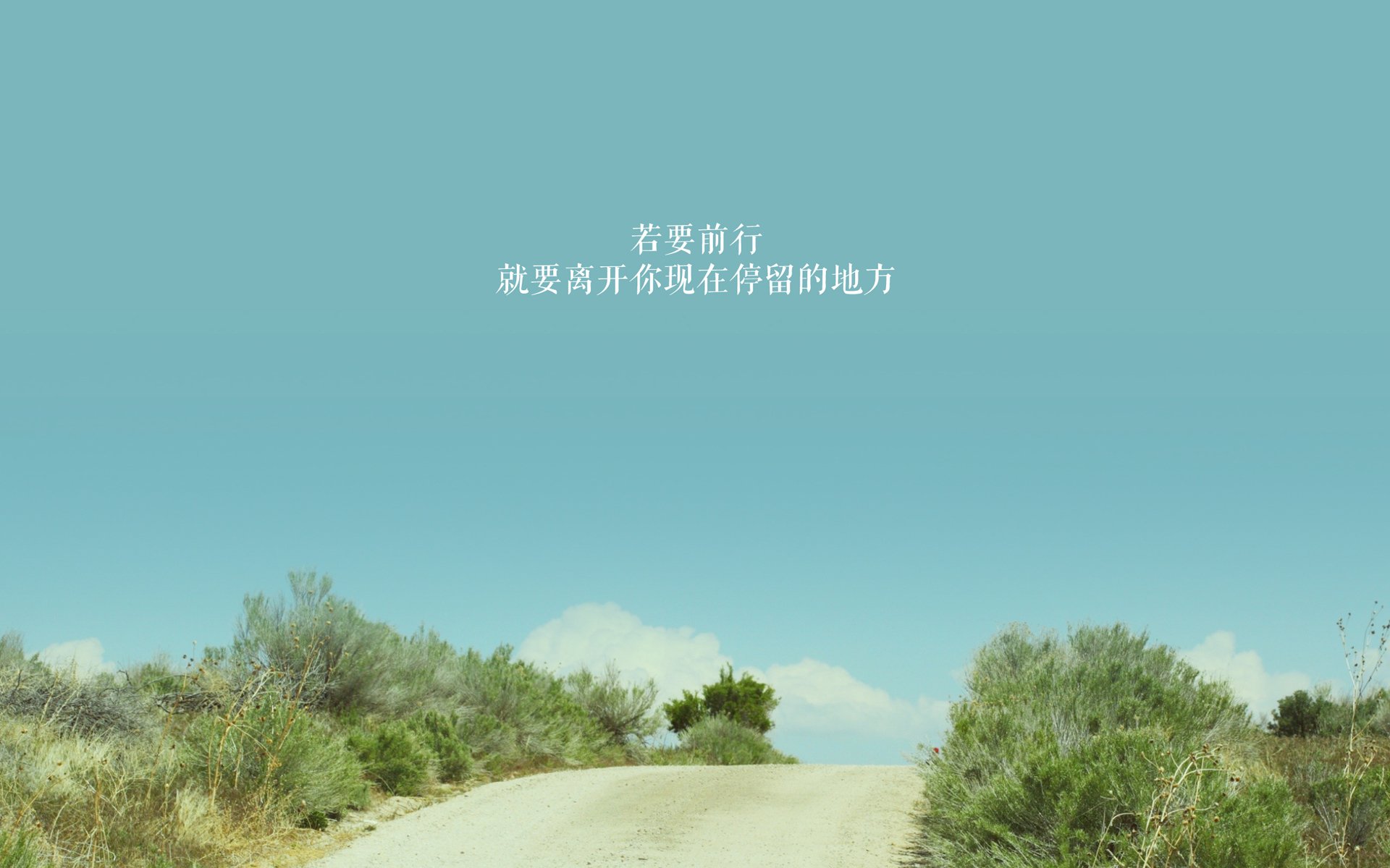 CBA联赛观众人数创新高 篮球热度持续升温，cba场均观众