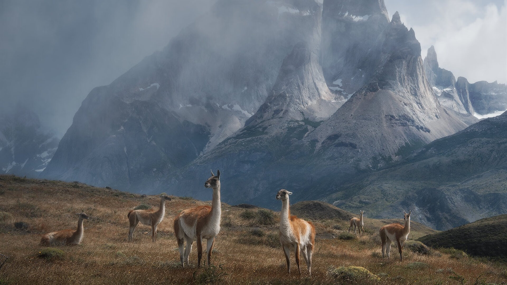 爱游戏体育官方网站-“新都兴城垒球赛：选手全力拼搏，谁将捧起金牌？”