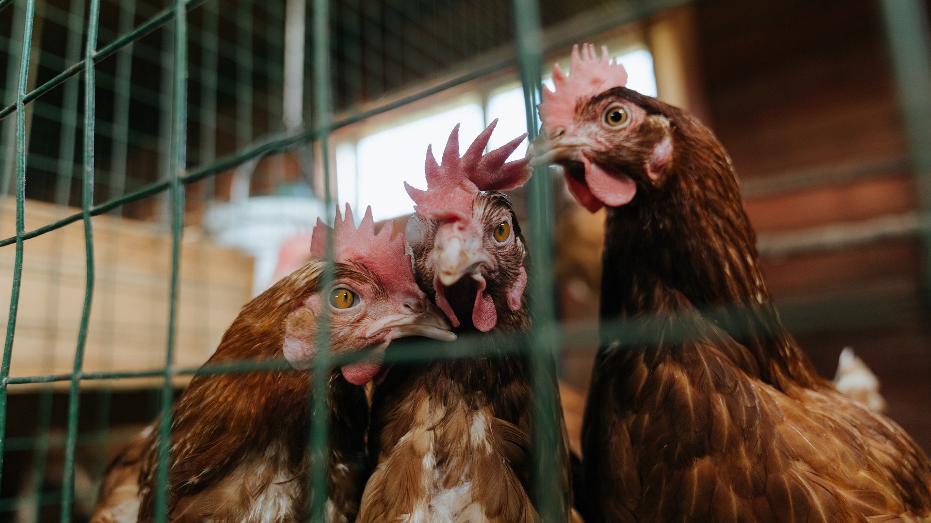 爱游戏平台-体育新闻中心上线赛事评论智能识别与过滤系统，网络体育新闻评论