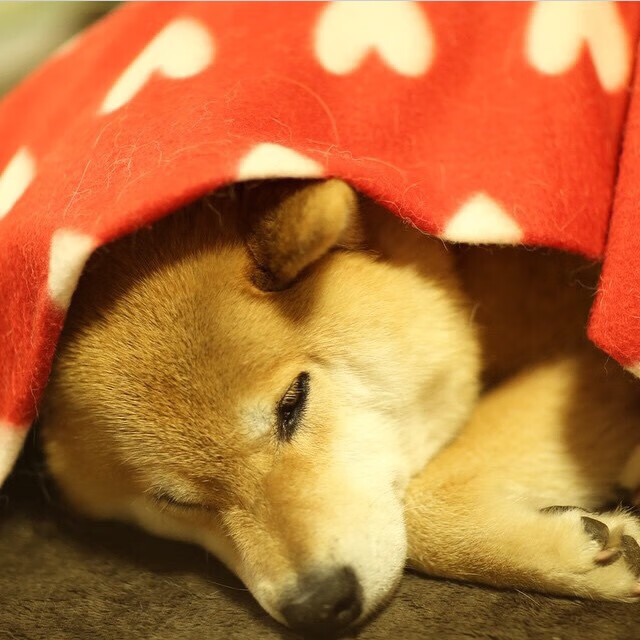 数据洞察表明星际转会是否真能提升联赛影响，星际转lol