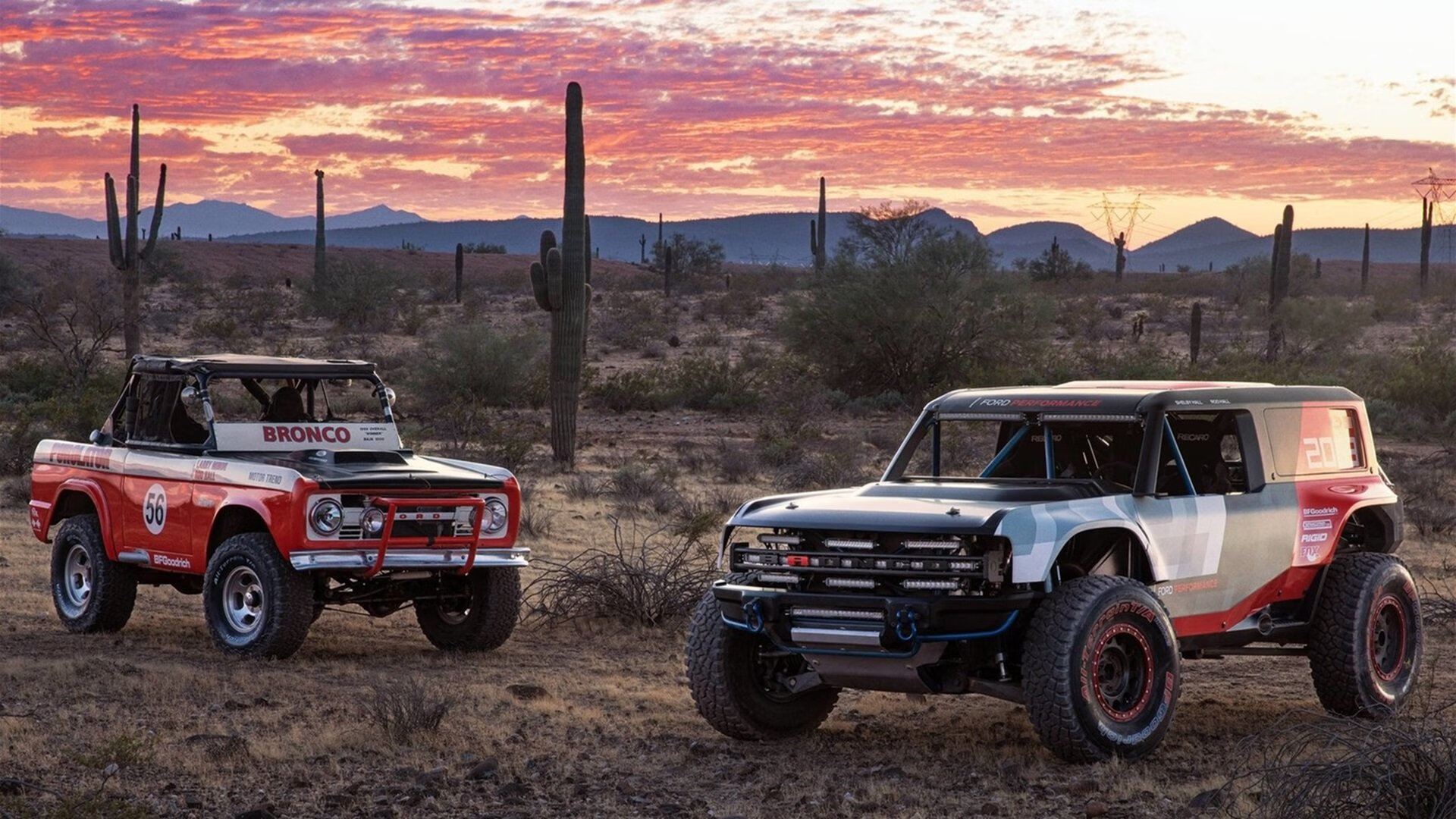 波兰队在国际乒联混合团体世界杯中的表现总结与反思，波兰乒乓球公开赛