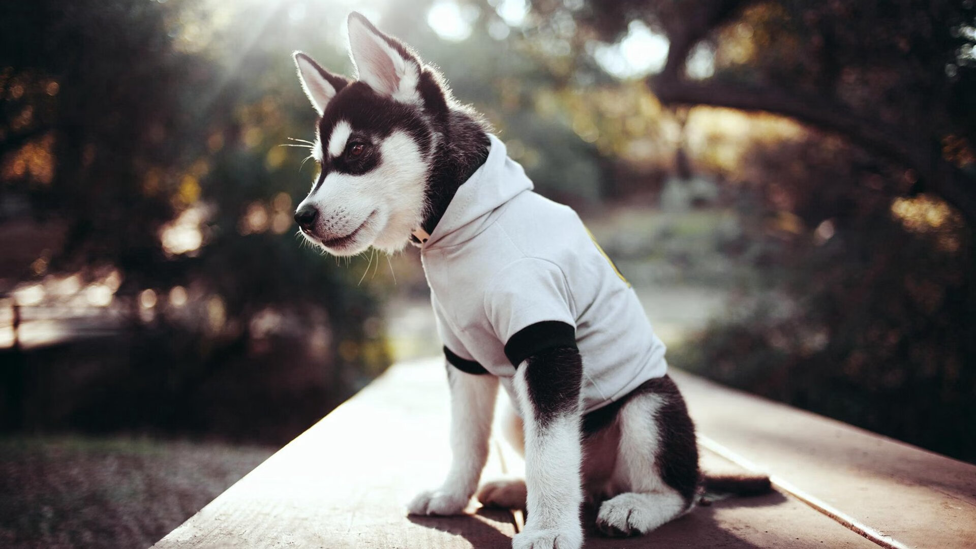 爱游戏体育平台-中甲联赛注重边路进攻建设提升整体节奏推进，2021年中甲比赛规则