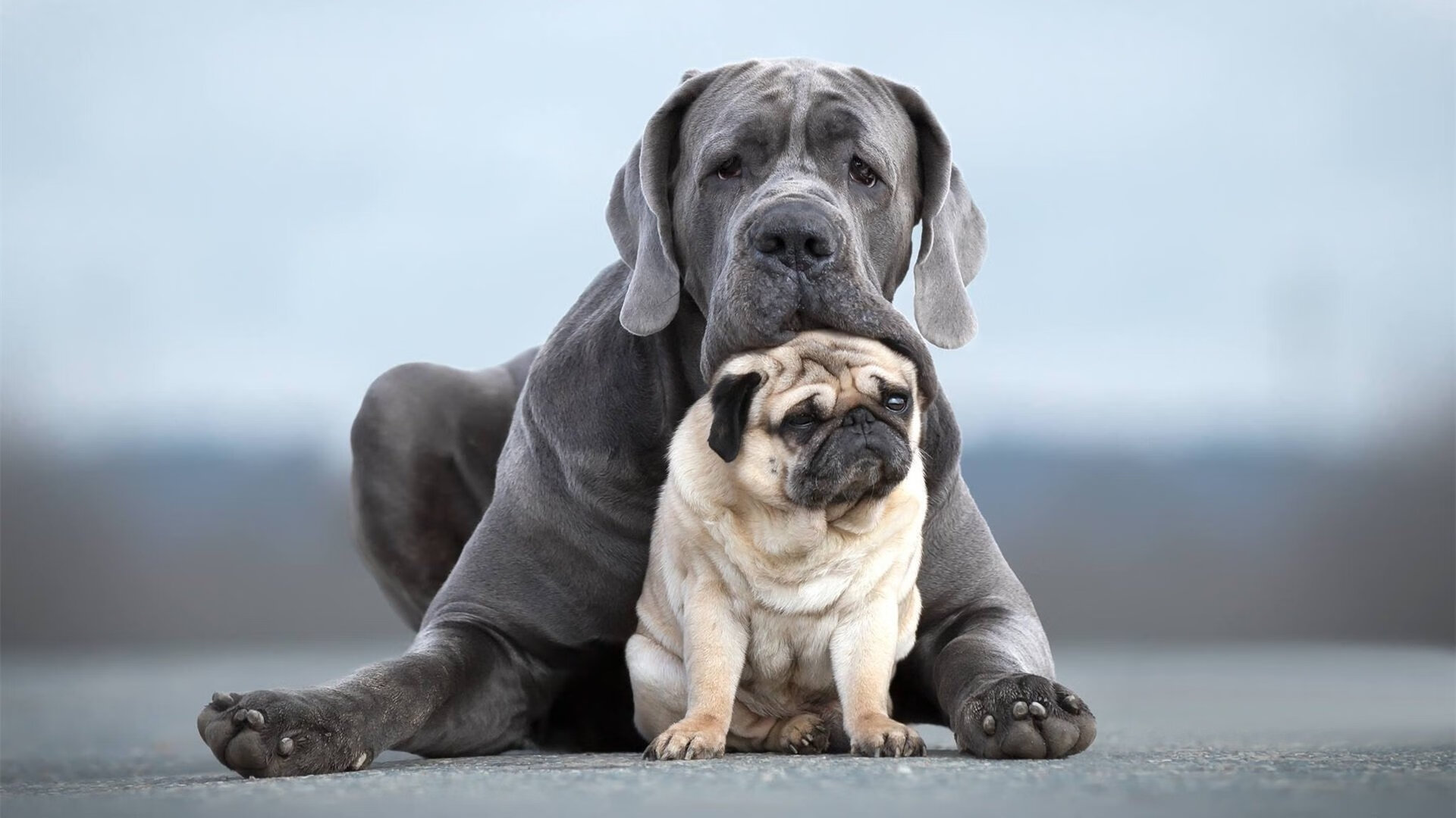 爱游戏体育平台-传统强队南非男队的新一轮复兴之路，南非联赛