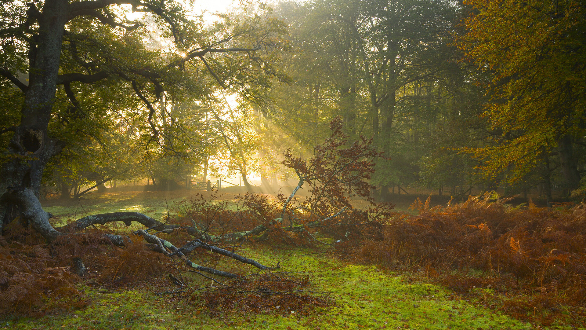 AYX SPORTS-印度女子篮球队在亚洲锦标赛中突破自我，期待奥运