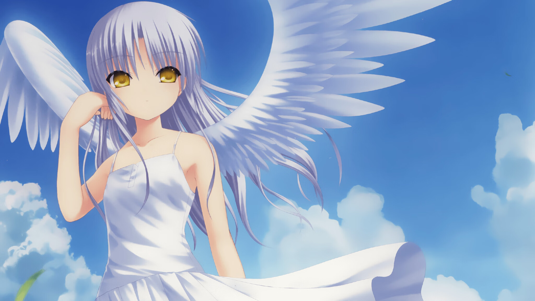 新闻中心发布国内外高水平教练引进计划说明，高级教练员岗位培训班