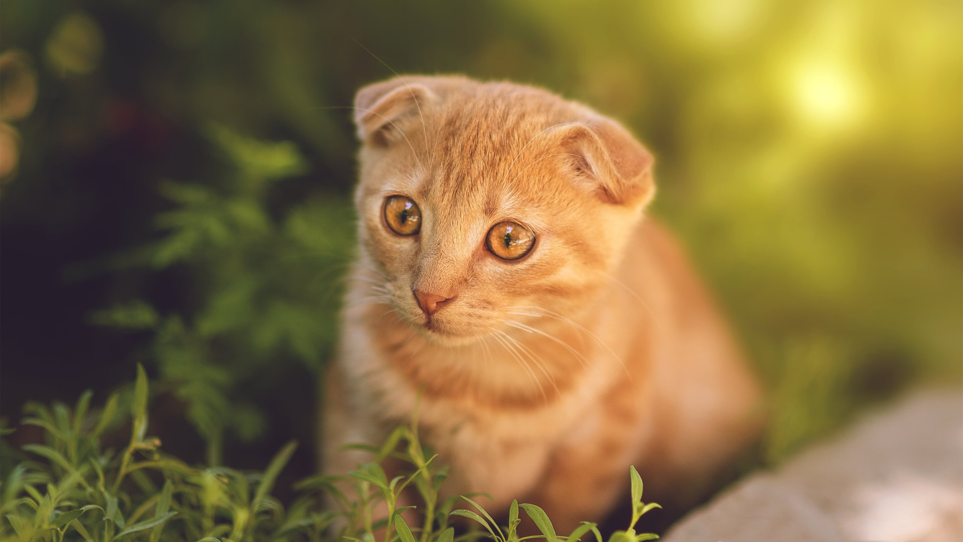 爱游戏体育APP下载-西甲攻防盛宴：精彩瞬间不断演绎！，西甲榜首大战